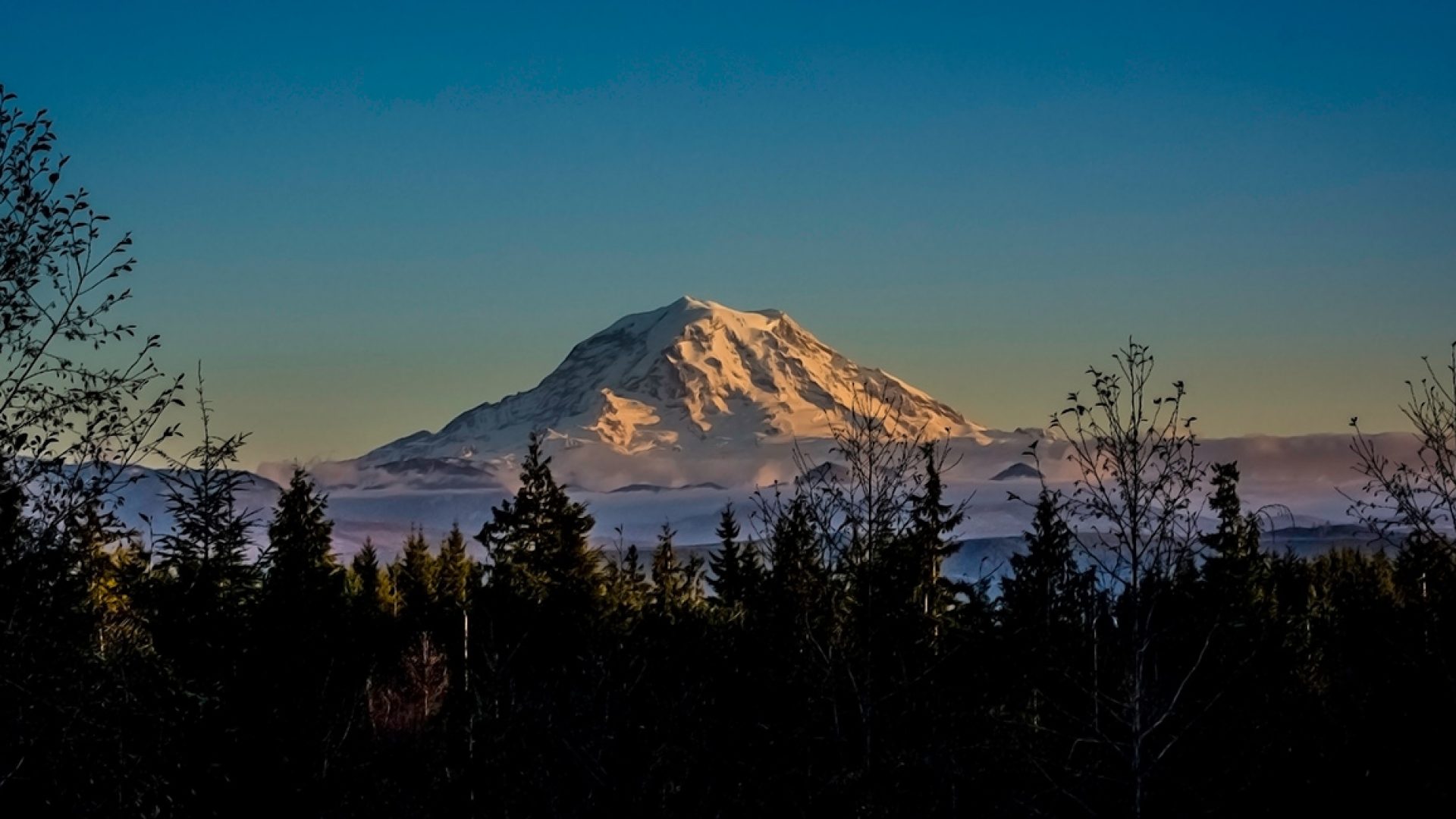 Mt. Rainier