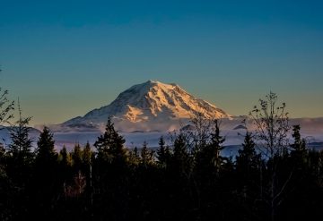 Mt. Rainier