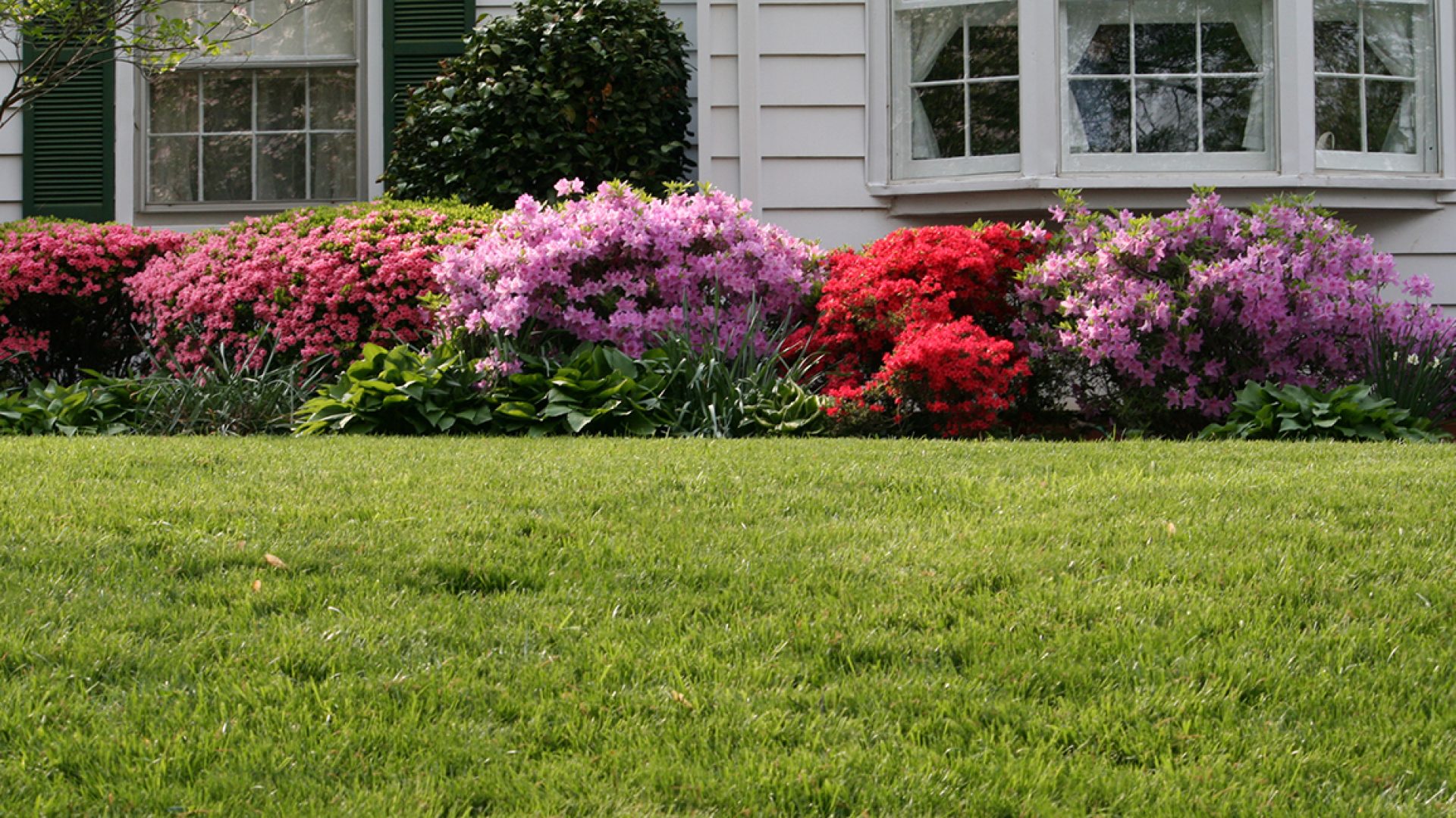 5 ways Spring home sellers can gain an edge
