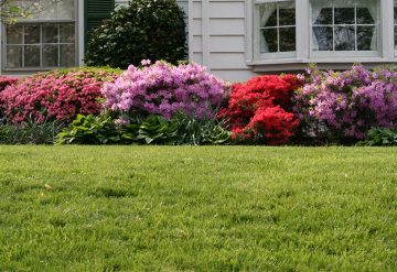 5 ways Spring home sellers can gain an edge