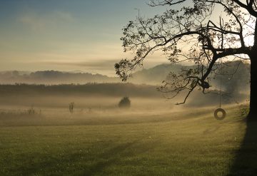 Recession’s ebb fuels a slow return to the suburbs