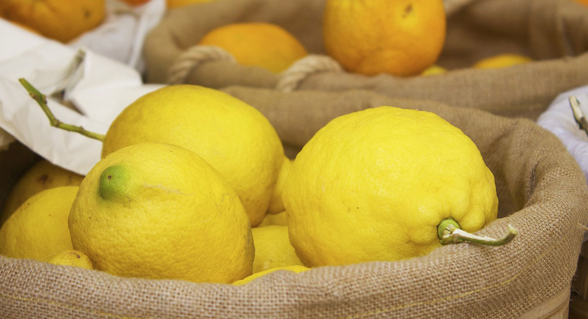 8 uses for lemons around the home Lennar Resource Center