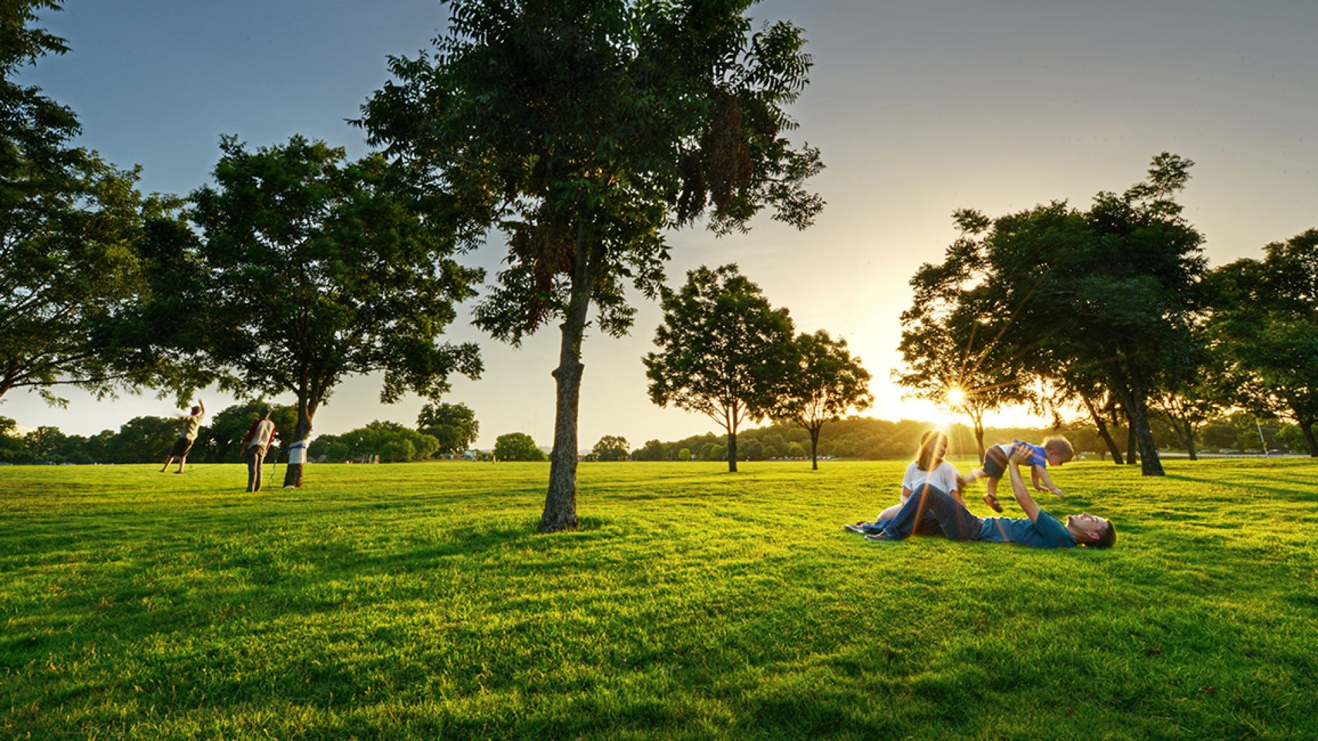 Urban trees enhance children’s brains, too