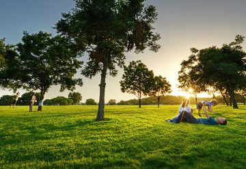 Urban trees enhance children’s brains, too