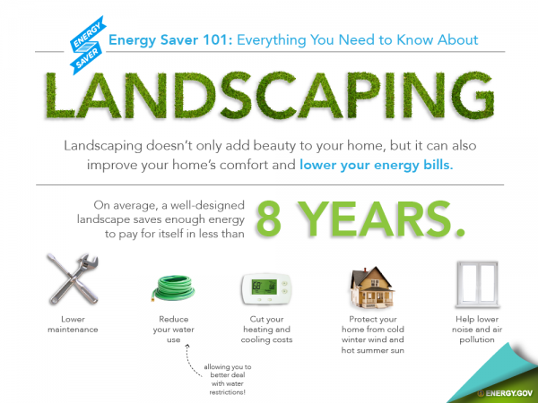 Click to view the full infographic!