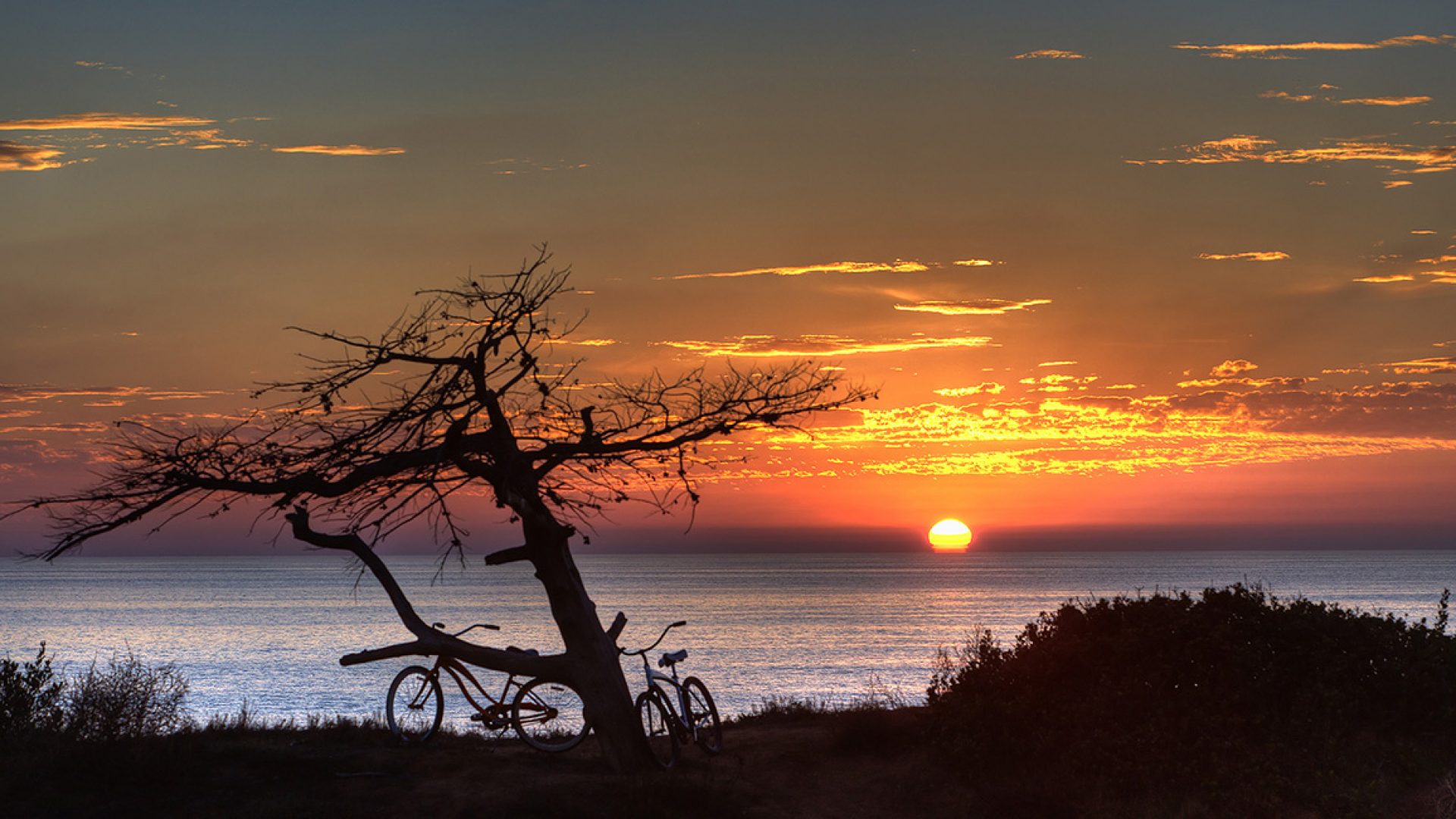 Live in California or Minnesota? Go to the park, not the mall, on Black Friday