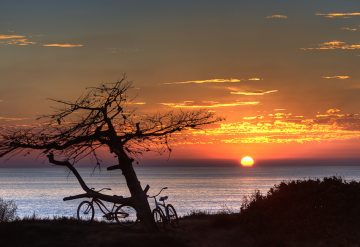 Live in California or Minnesota? Go to the park, not the mall, on Black Friday