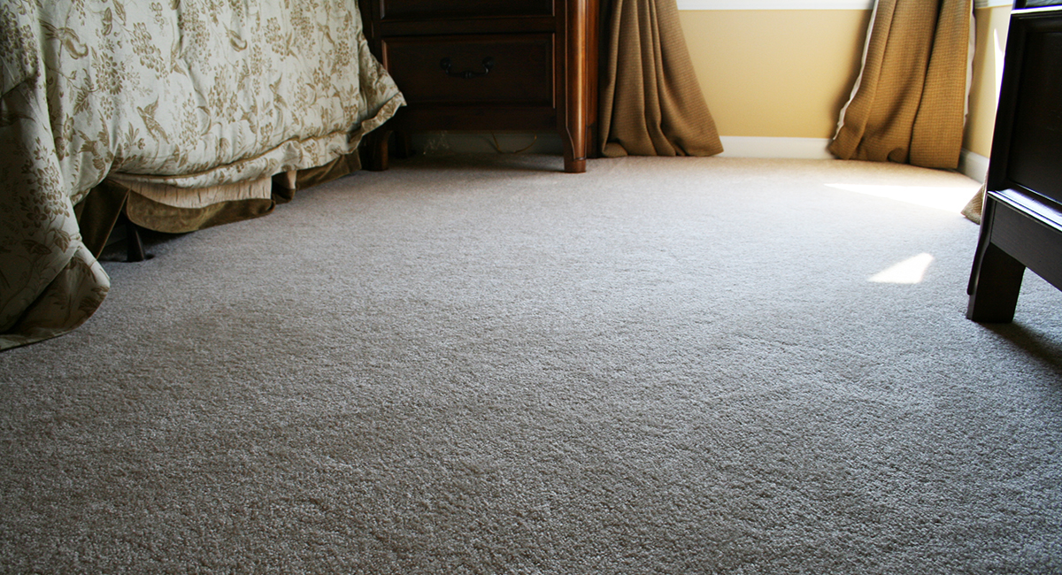 How to clean your carpet from 8 common spills Lennar Resource Center