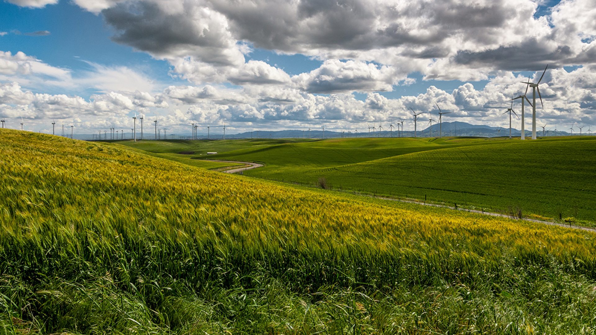 The greenest states in 2016