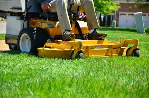 lawn-care-643559_960_720