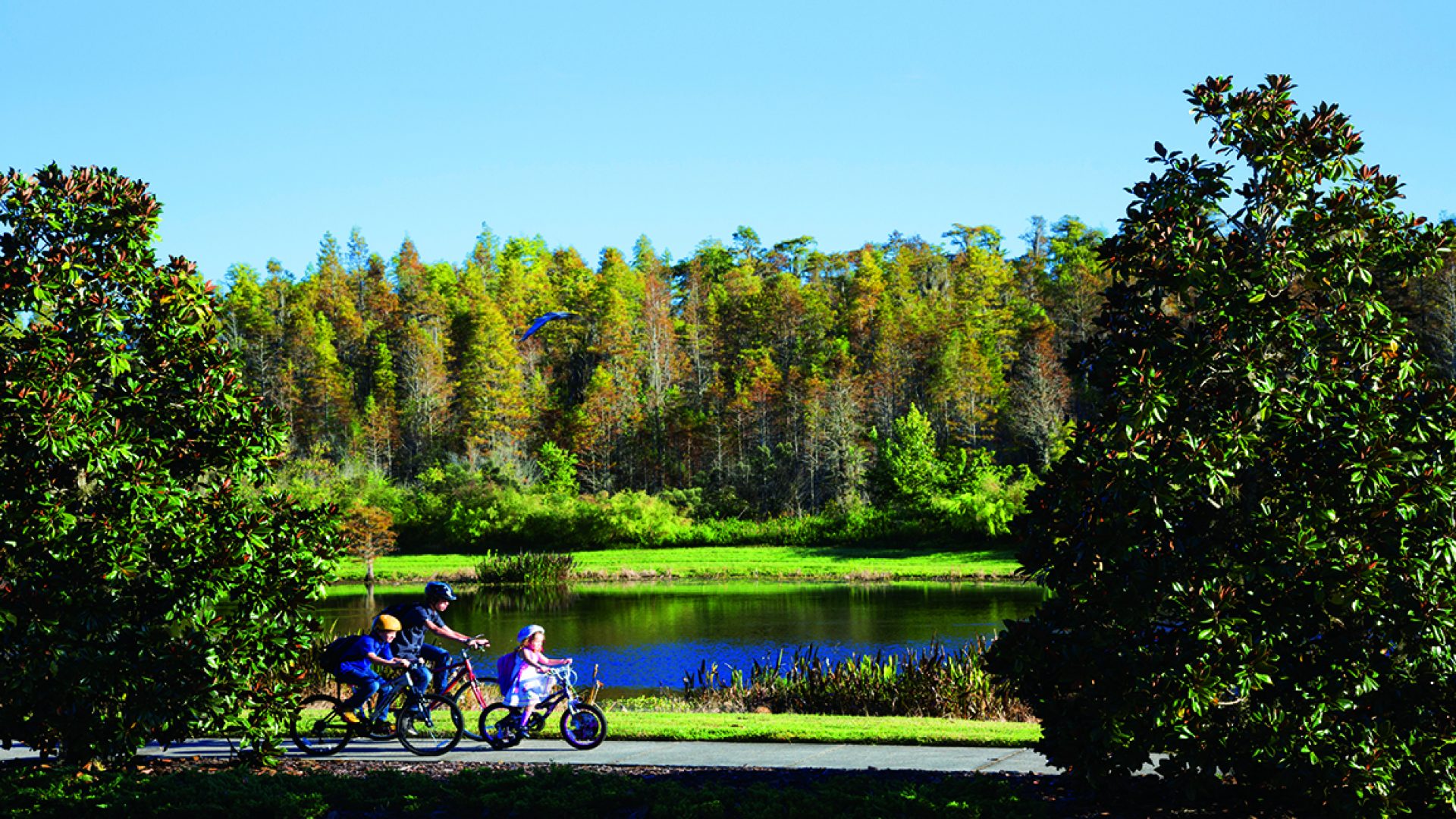 land o lakes rec center