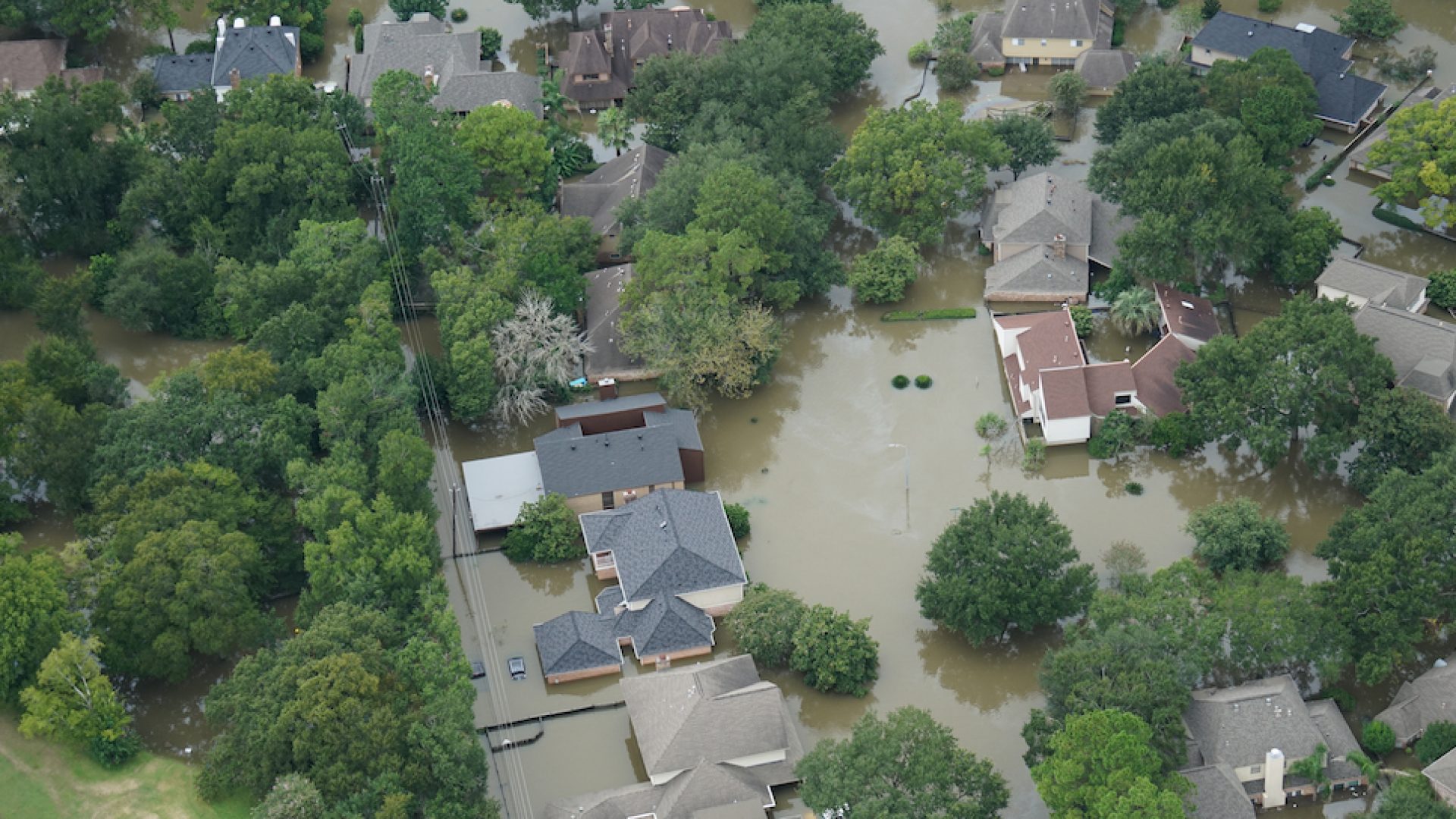 Hurricane Harvey