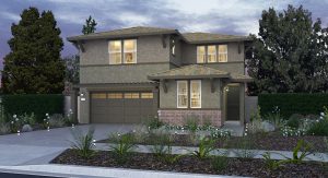 Arboretum Masterplan