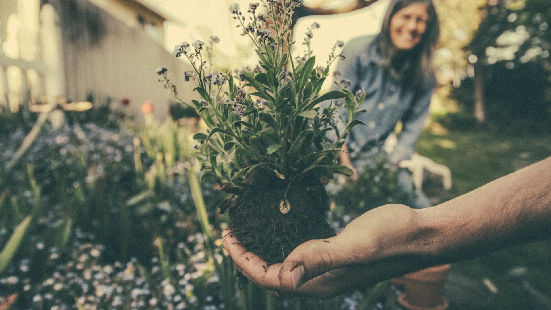 Lennar Atlanta Spring gardening tips