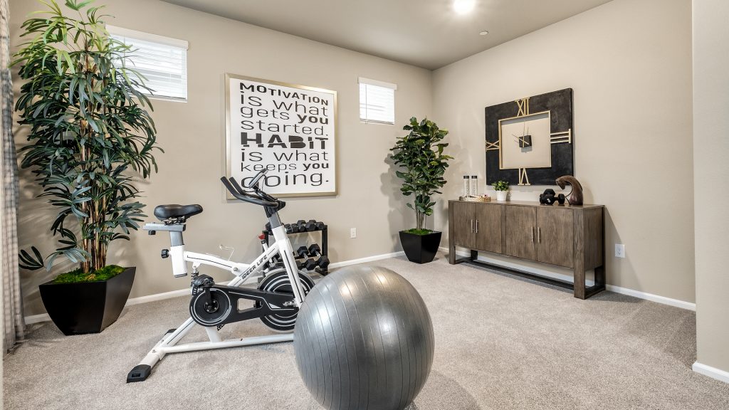 owner's suite home gym