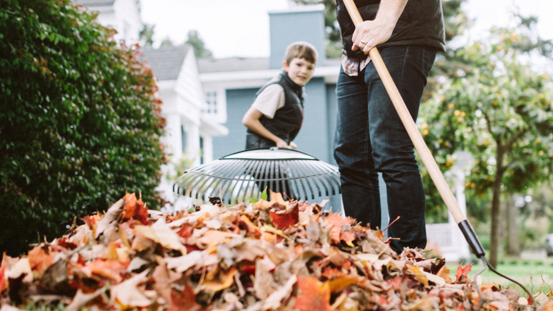 Fall home maintenance in Tampa