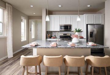 Palisade Park West: Paired Homes in Broomfield