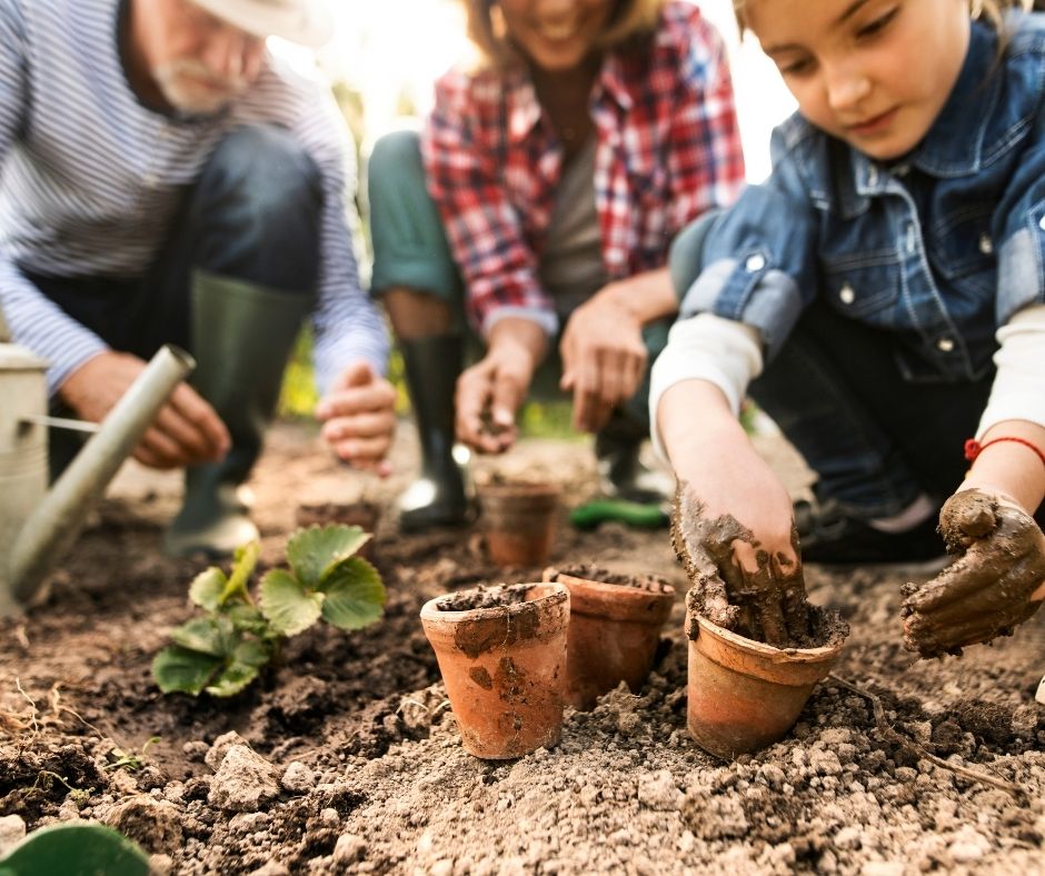 Gardening tips