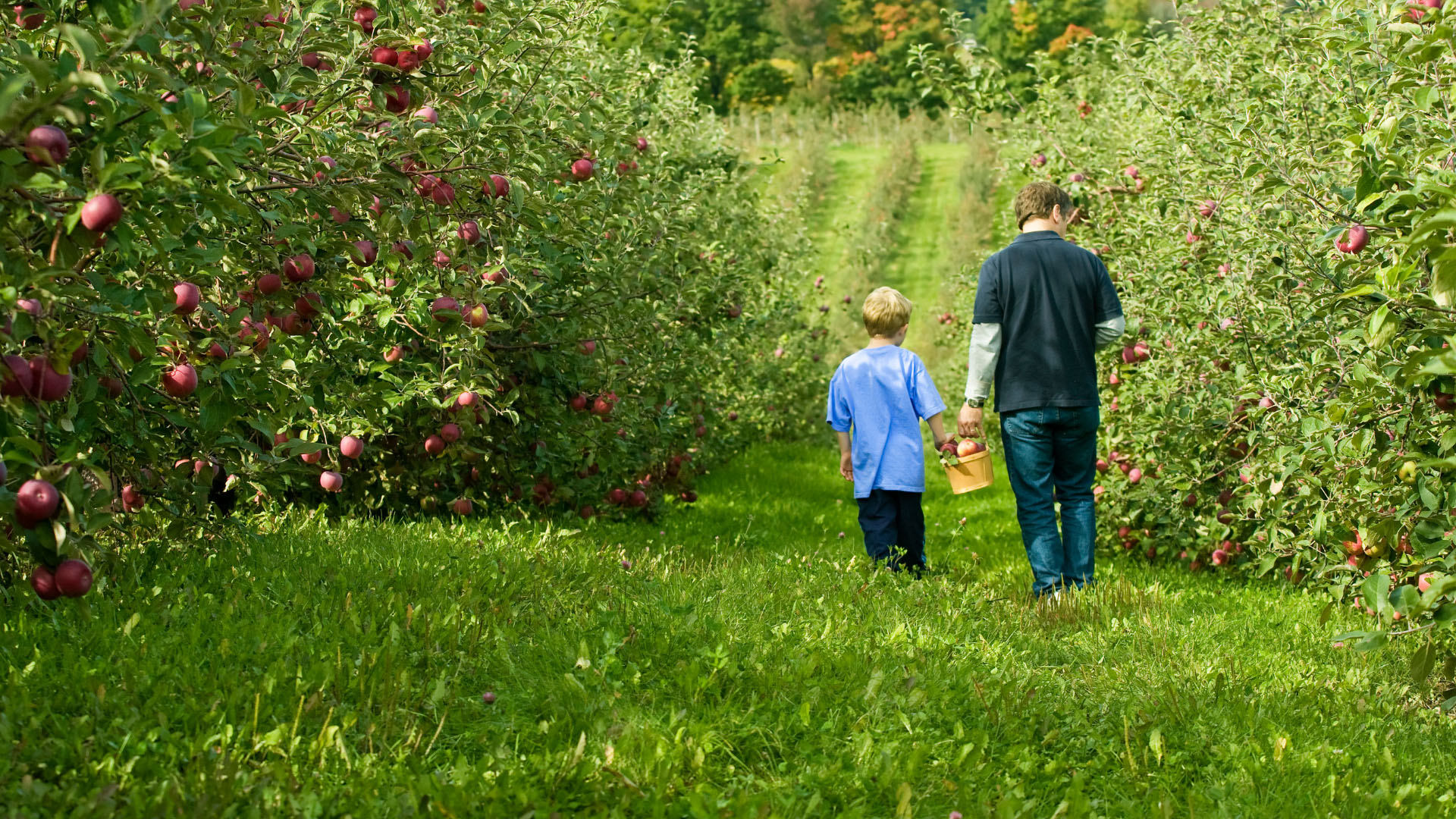 things-to-do-this-fall-in-atlanta-lennar-resource-center