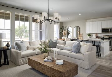 Paired Homes Dove Village Meridian Great Room