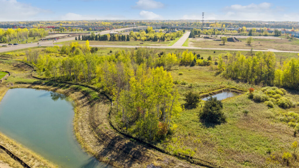 Lynwood aerial