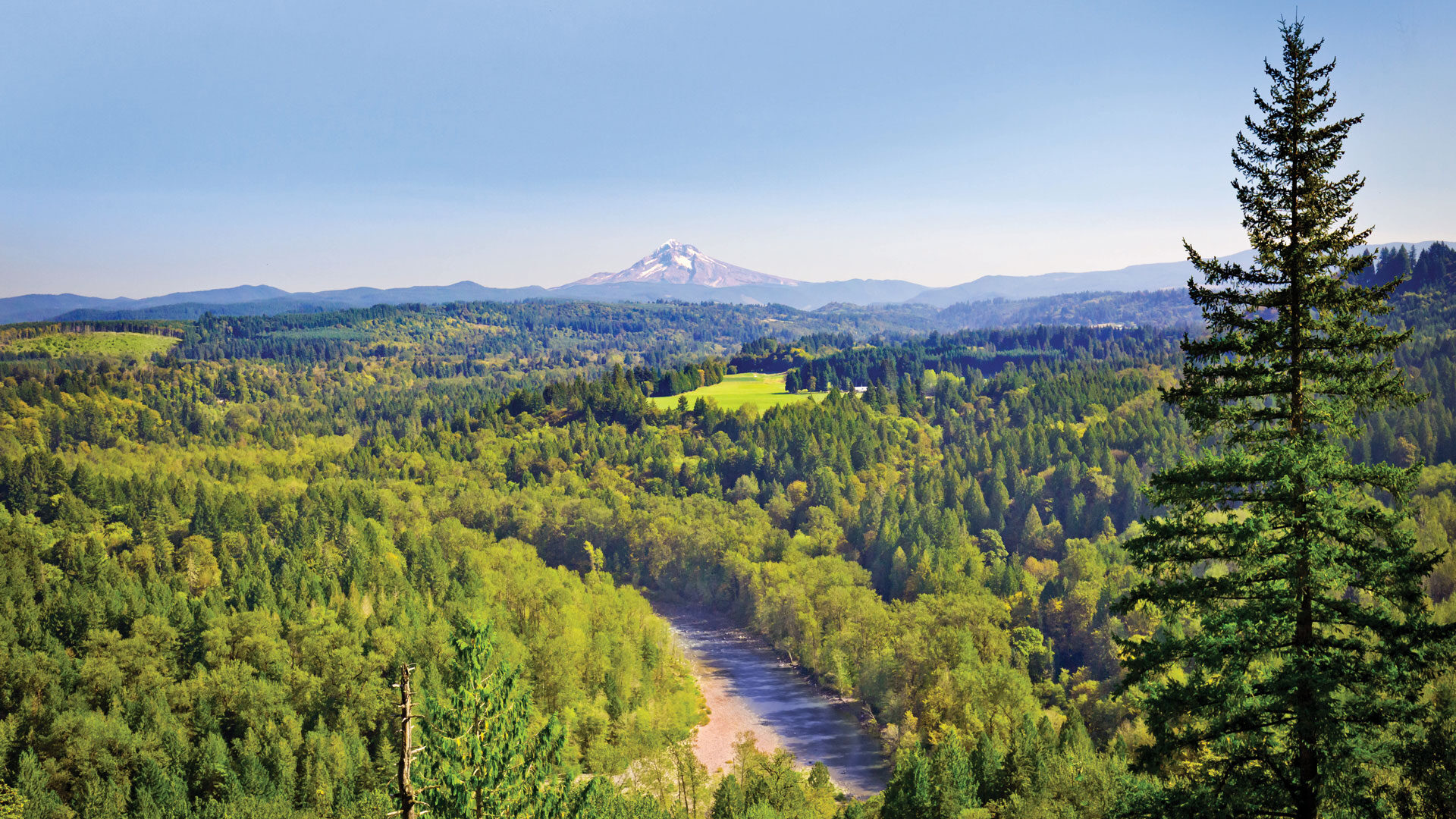 Mt Hood National Forest