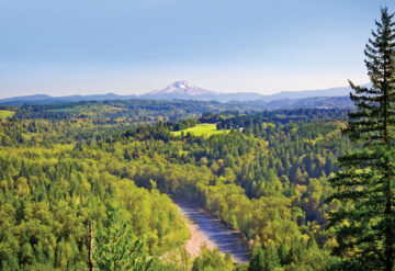 Mt Hood National Forest