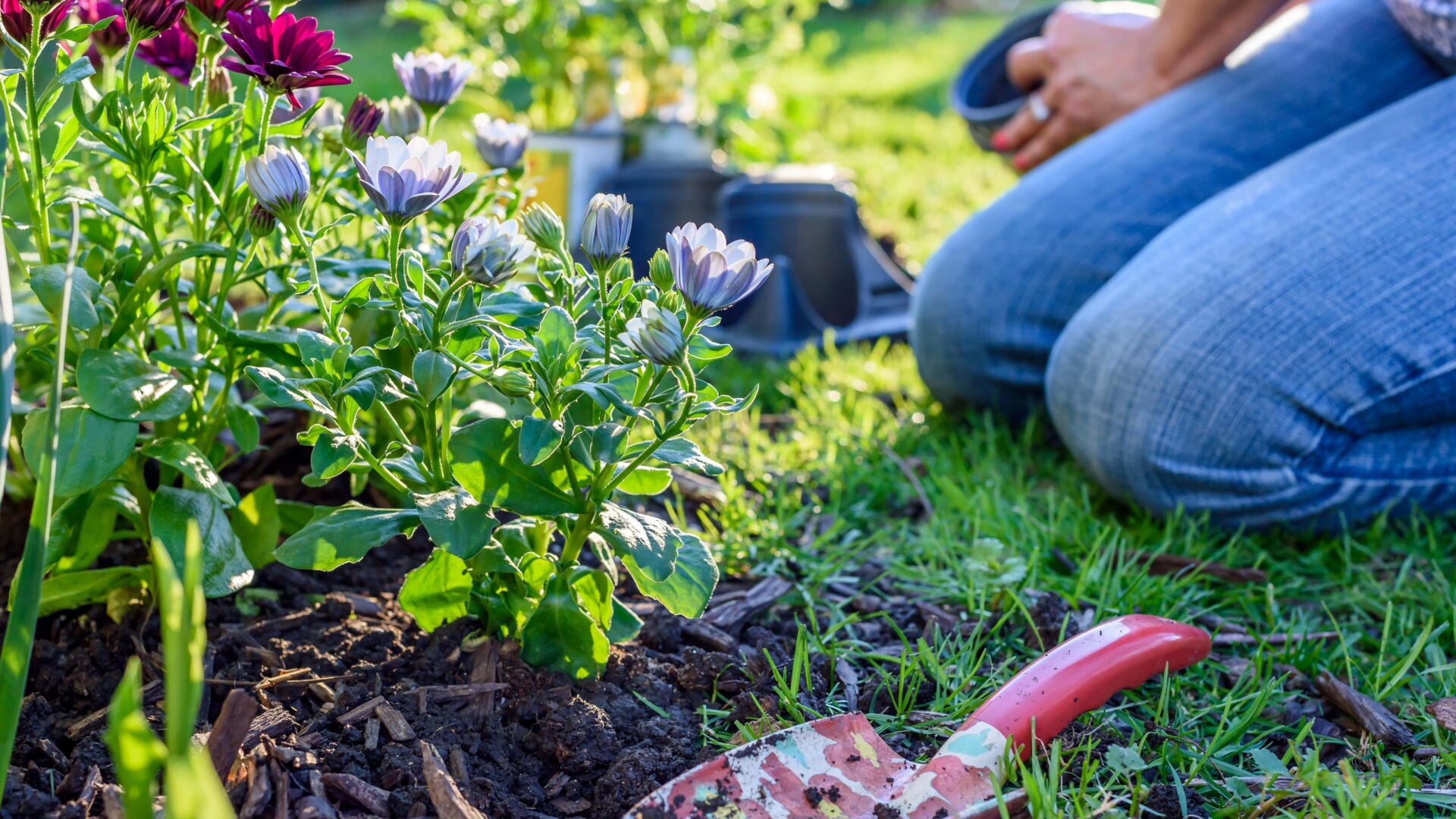 gardening