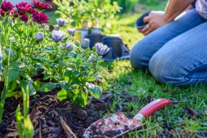 gardening