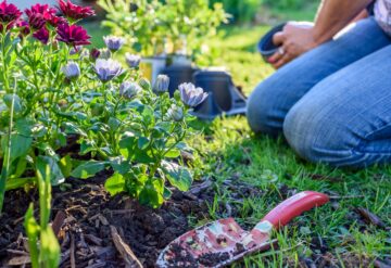 gardening