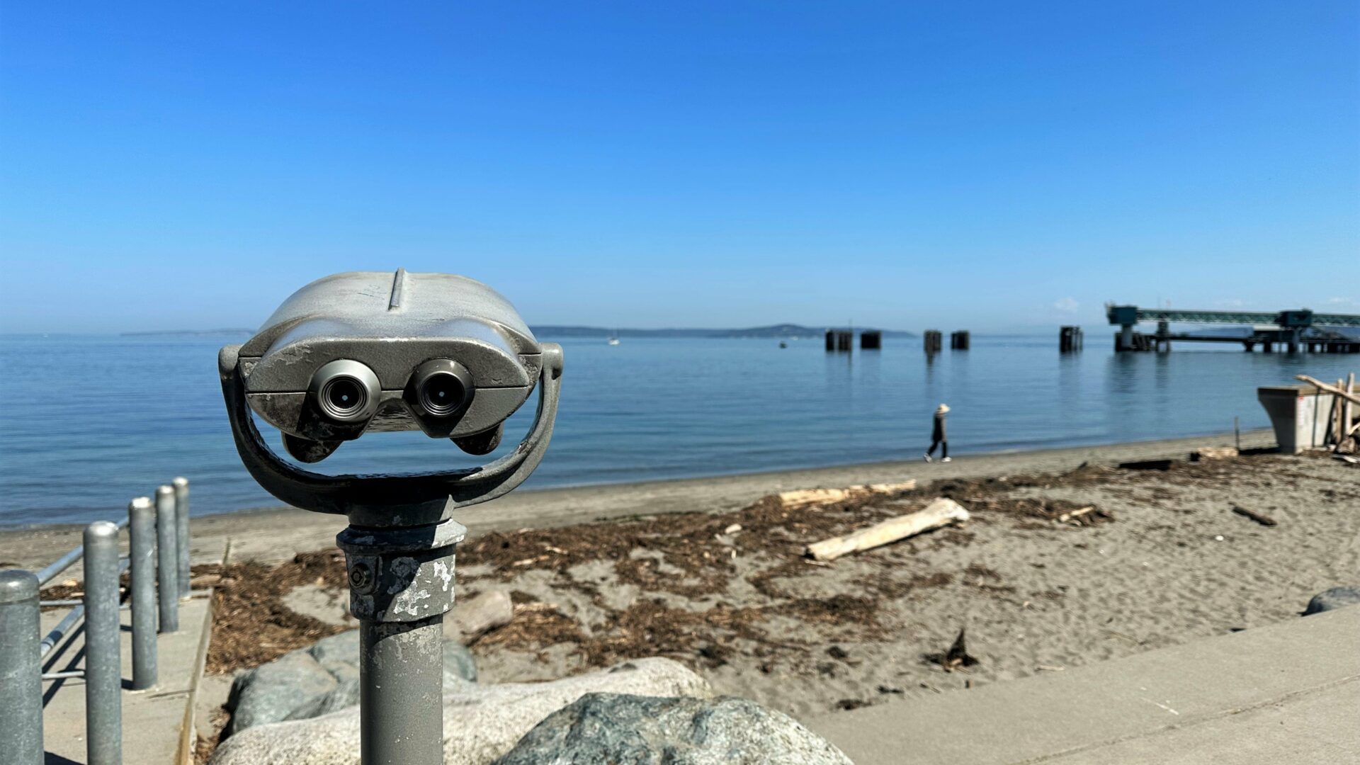 Wildlife Watching Puget Sound