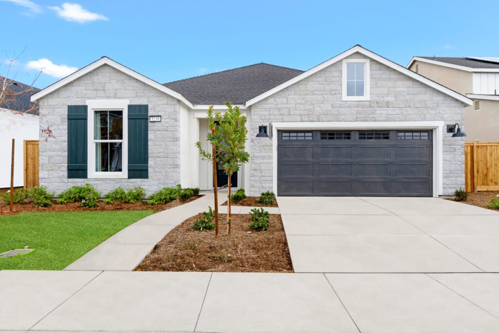 Gossamer Grove Papyrus Exterior