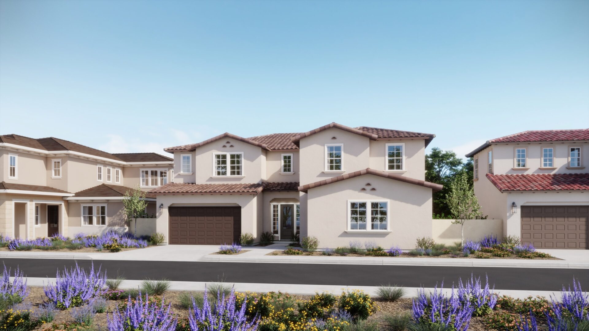 Amora exterior