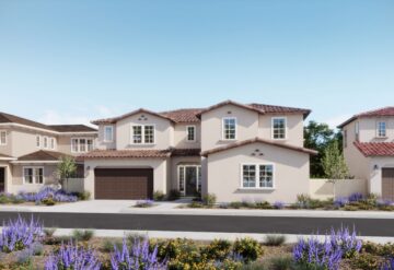 Amora exterior