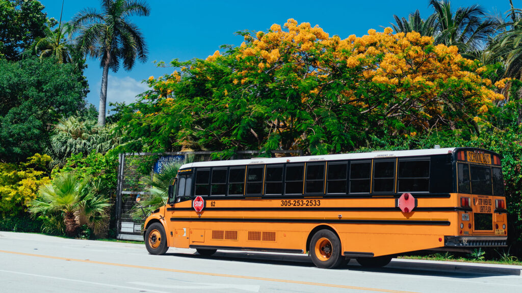 yellow school bus