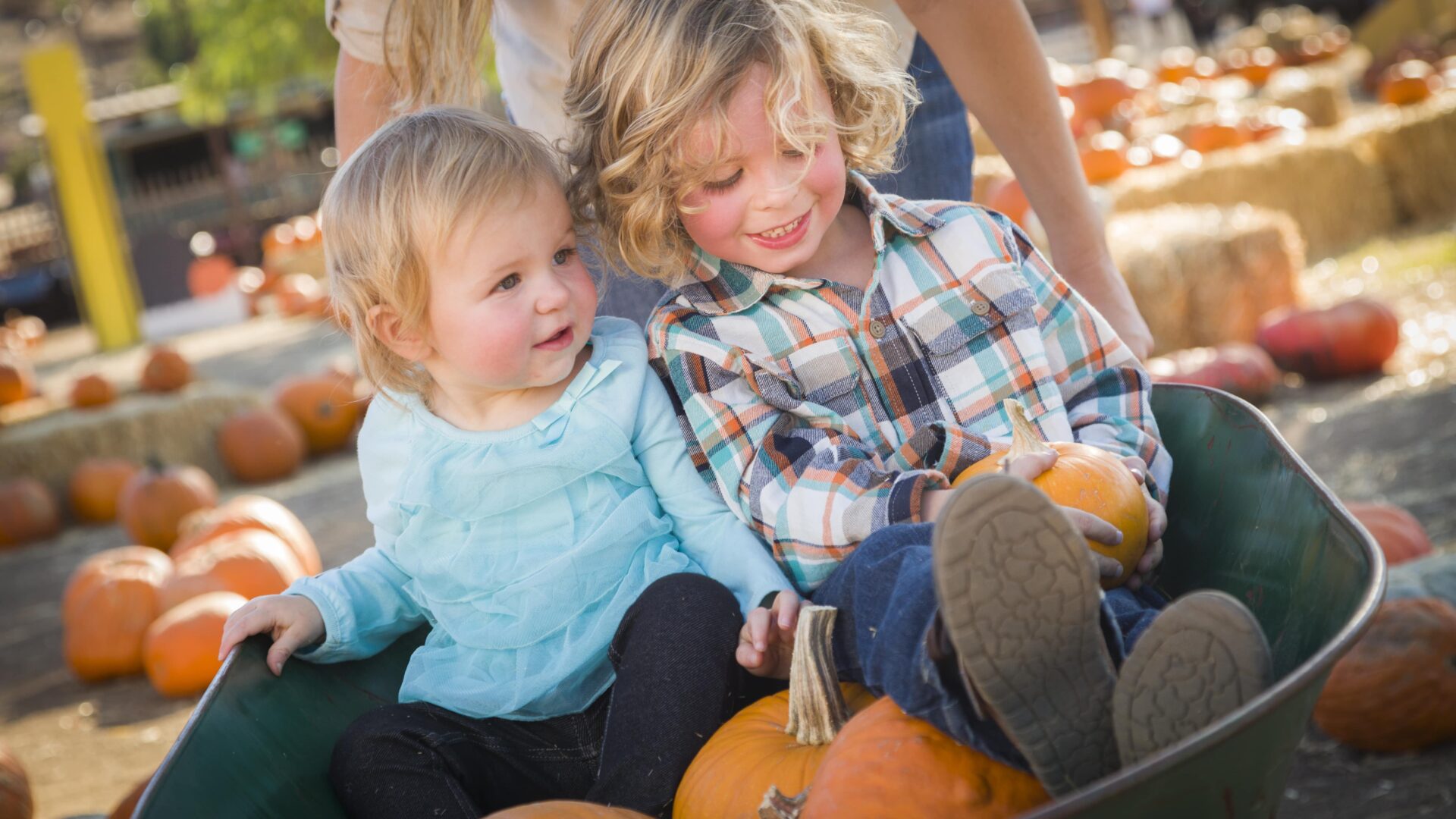 Fall Autumn Family at the Pumpkin Patch