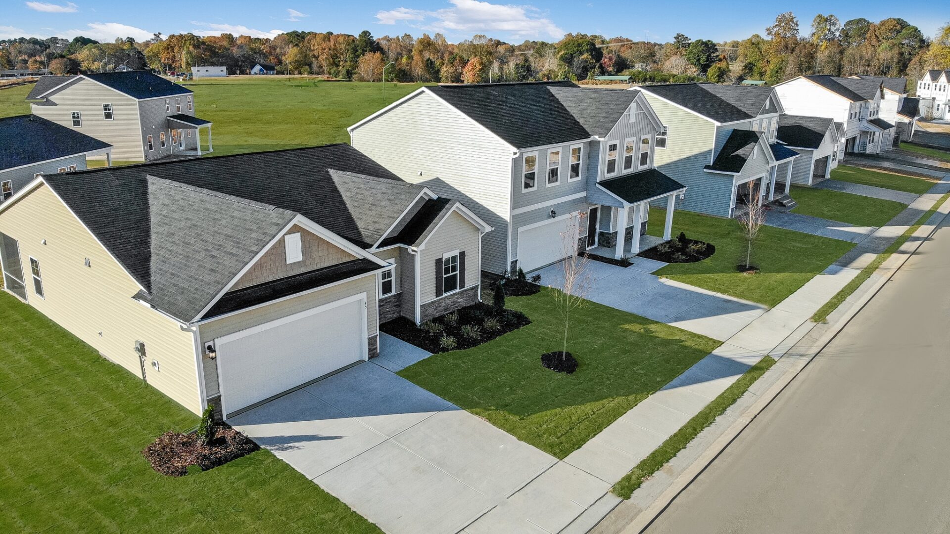 Myrtle Meadows Streetscape